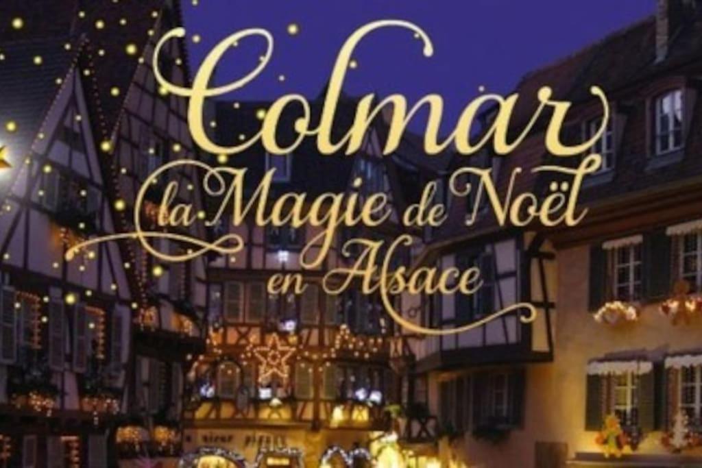 Aux Portes De La Petite Venise Colmar Exterior foto